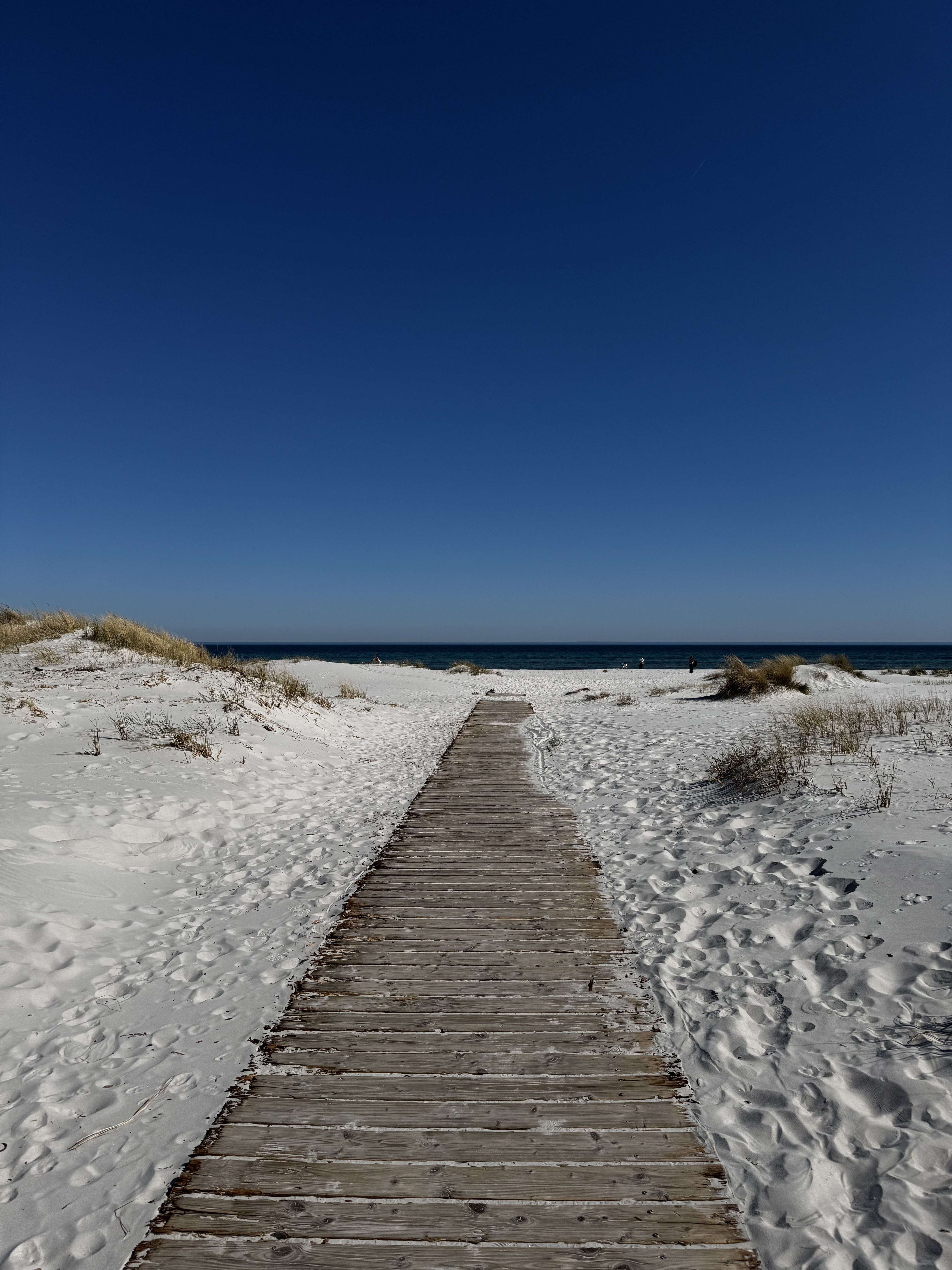 Holzsteg durch verschneite Dünen zum Meer